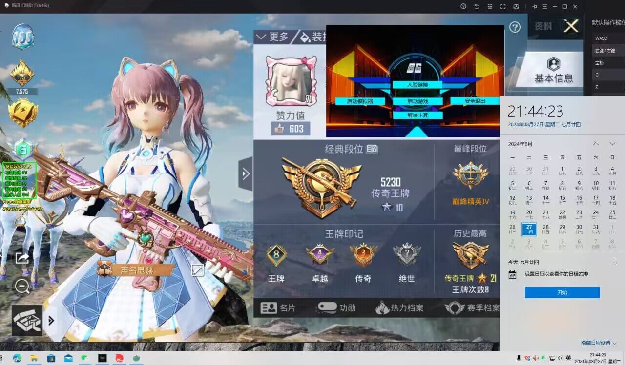 和平精英《敖光》辅助