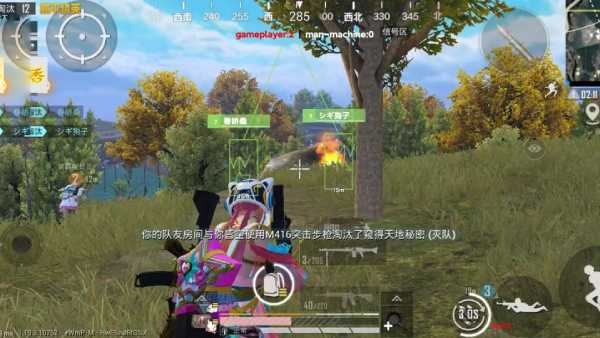 和平精英辅助【火焰鸟直装V6.0终极修复版】射线透视 准星聚点 空投透视 人物变大 显示手持 透视雷达