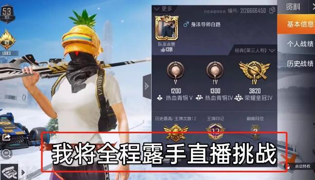 和平精英辅助【小飞侠】